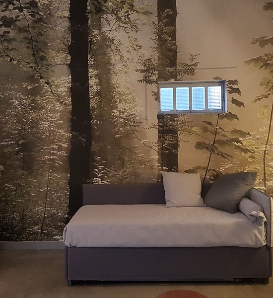 Imbianchino Seregno Decorazioni Monza Brianza di Viganò — Foto 6